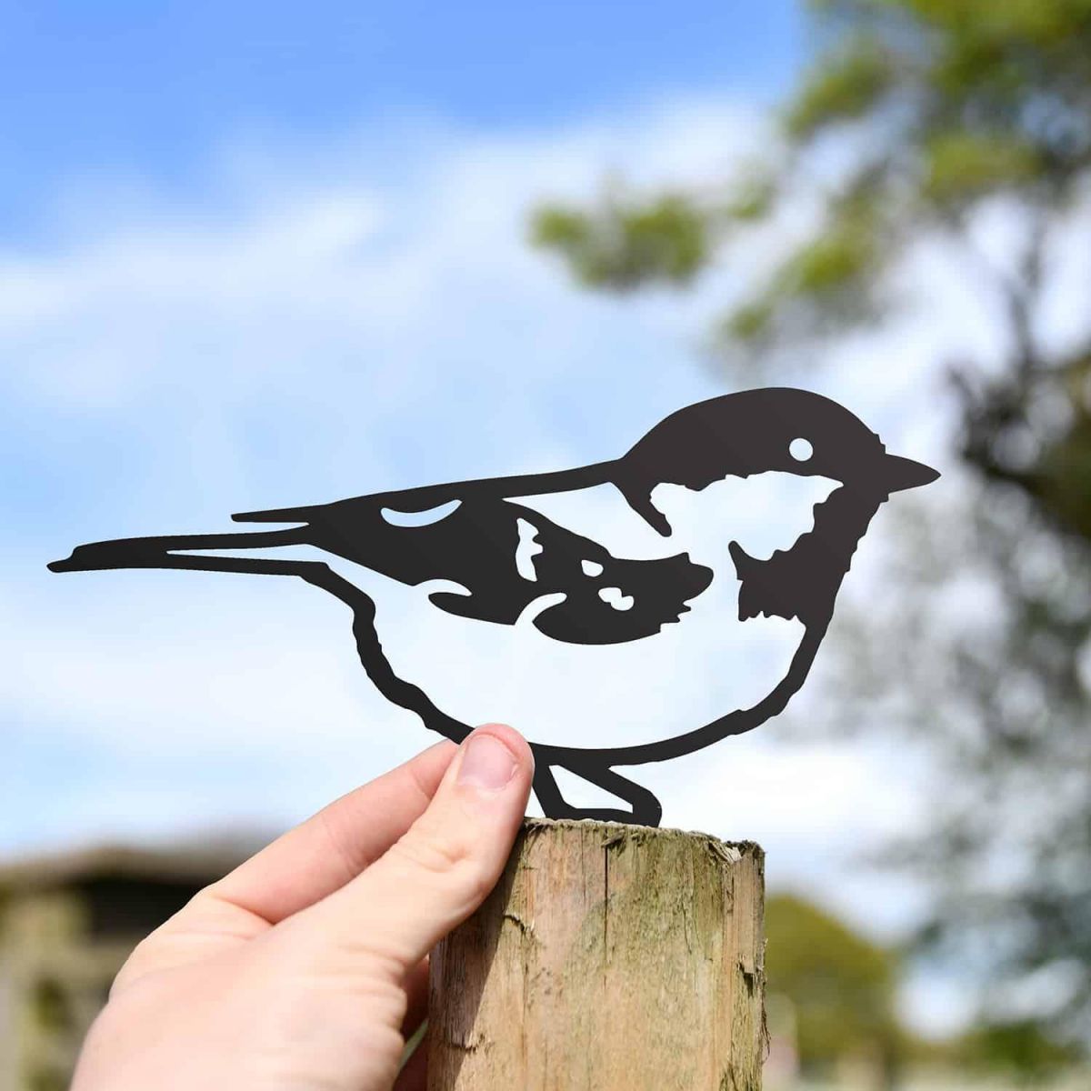 Scale Shot of Black Coal Tit Steel Fence Topper