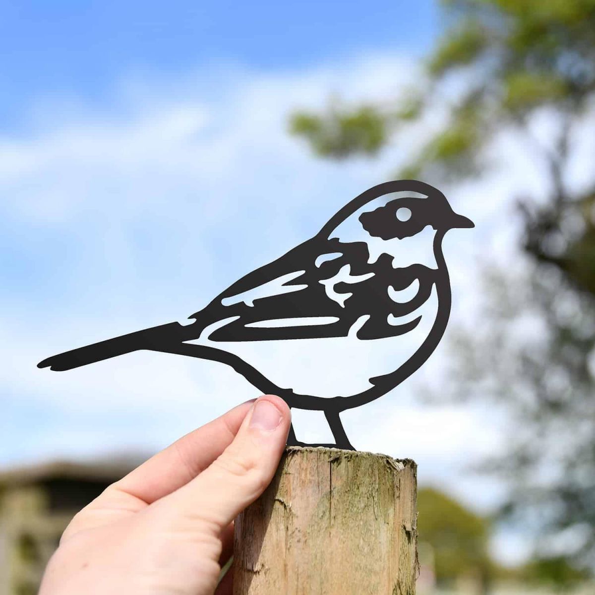 Scale Shot of Black Dunnock Steel Fence Topper