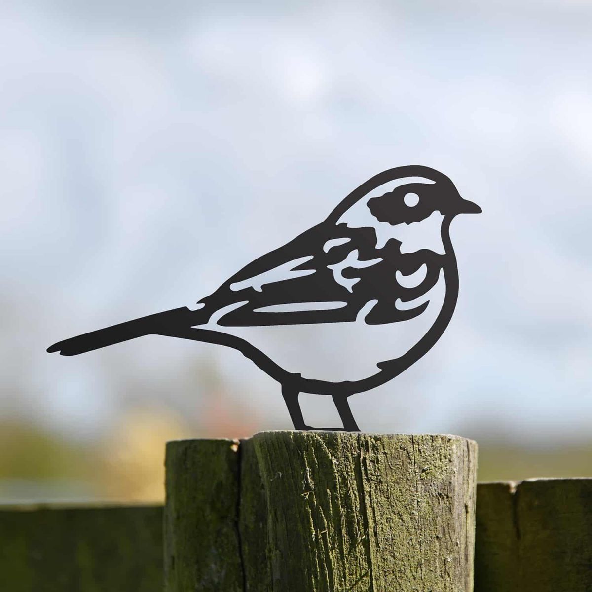 Black Steel Fence Topper with Dunnock Design