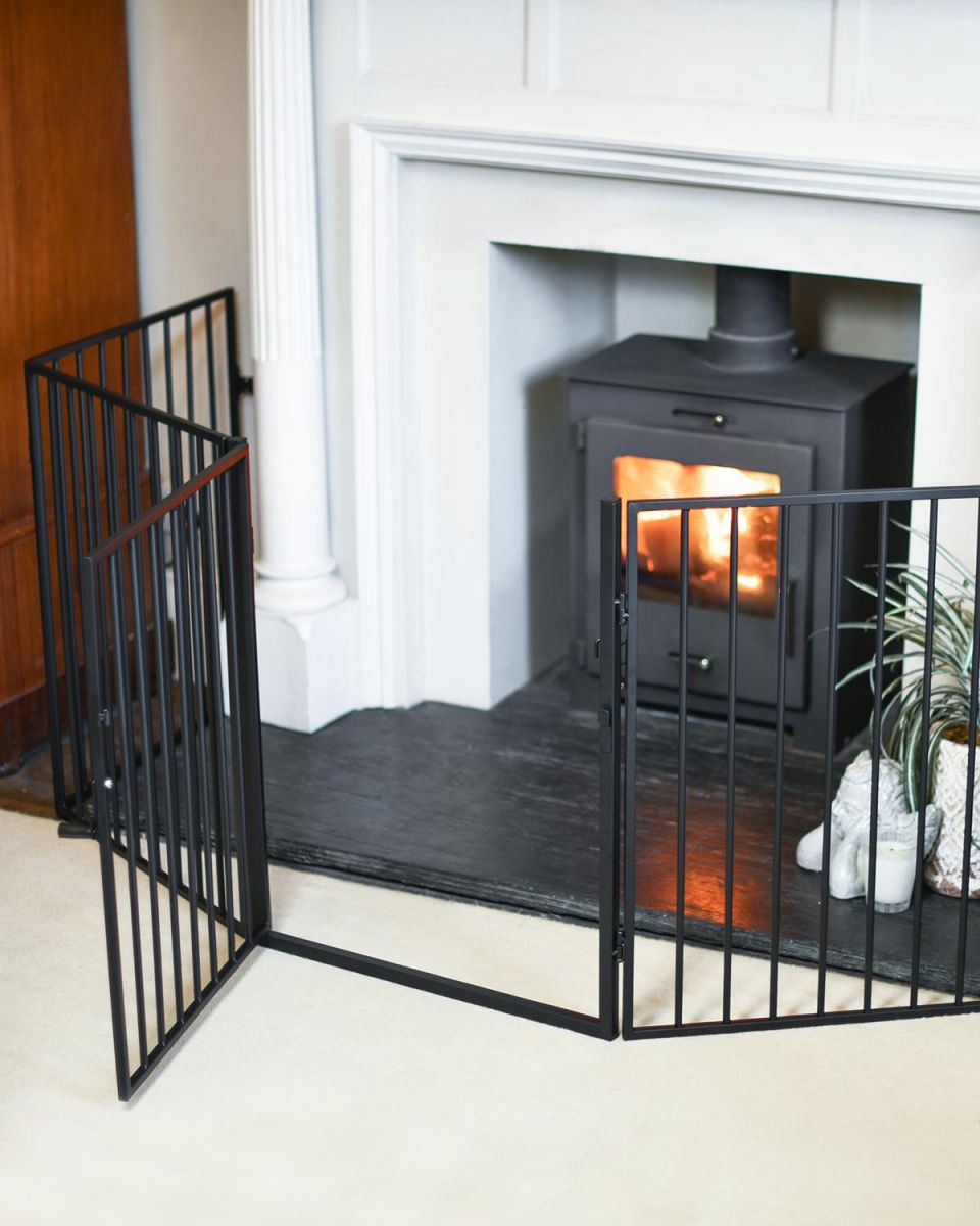 View of the Door on the Front of the Fire Surround