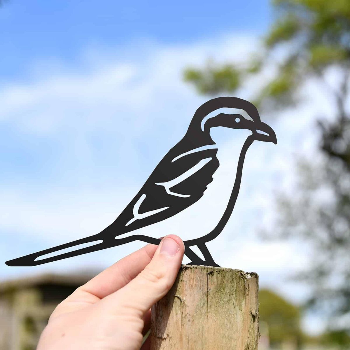 Scale Shot of Black Great Grey Steel Fence Topper