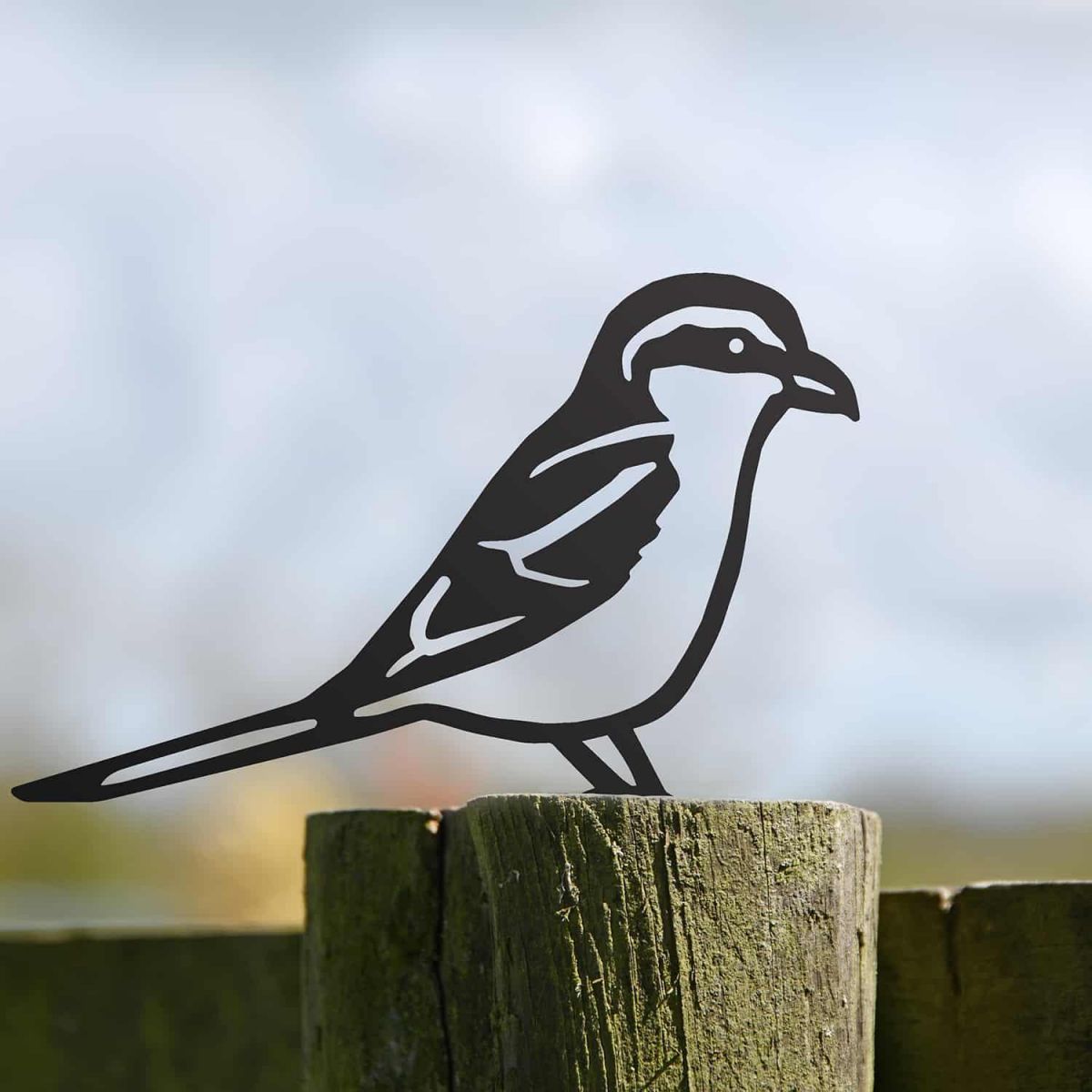 Black Steel Fence Topper with Great Grey Design