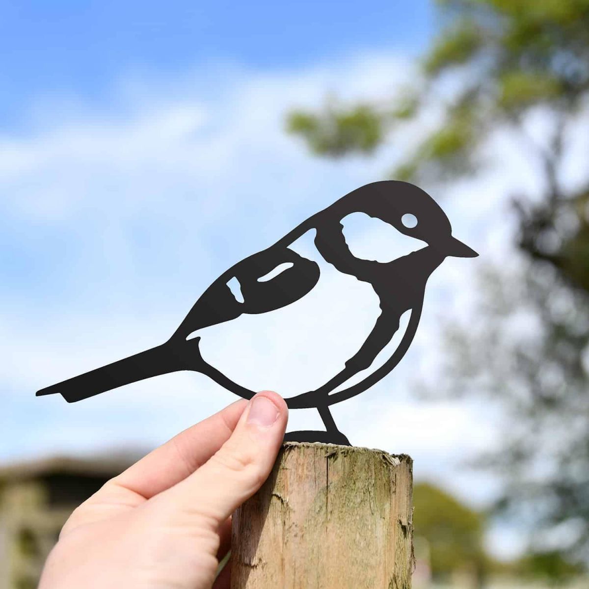 Scale Shot of Black Great Tit Steel Fence Topper
