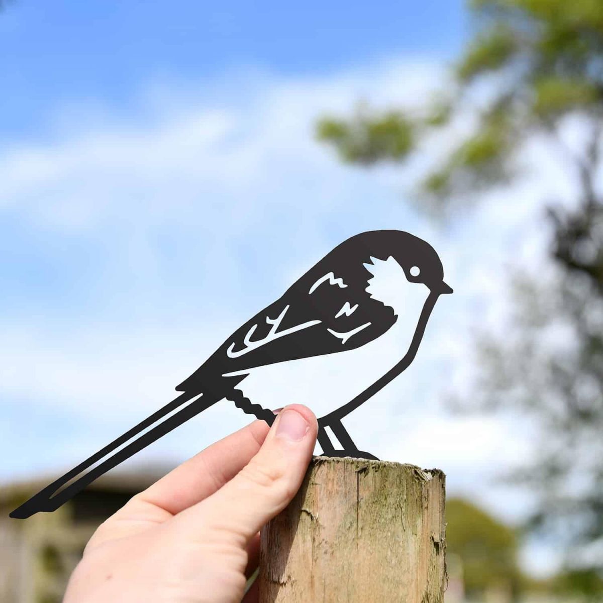 Scale Shot of Black Long-Tailed Tit Steel Fence Topper