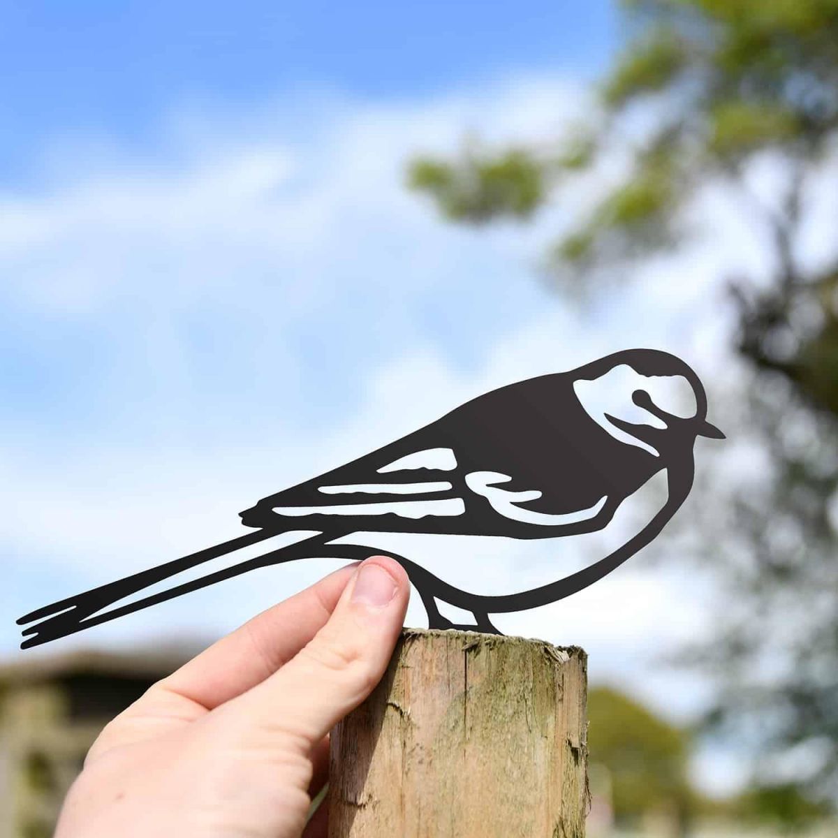 Scale Shot of Black Pied Wagtail Steel Fence Topper