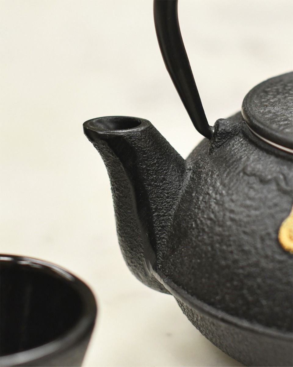 Black Cast Iron Spout 