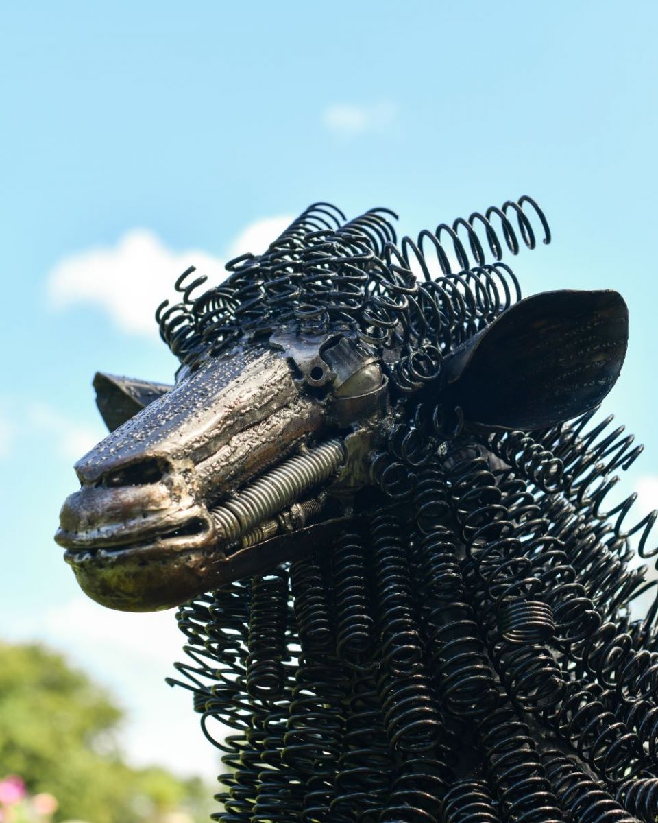 Close up of Black Sheep Bedspring Sculpture face Close up of Black Sheep Bedspring Sculpture face