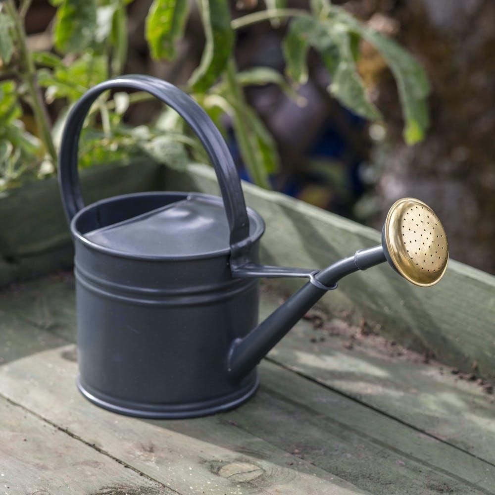 Galvanised Traditional Watering Can in Situ