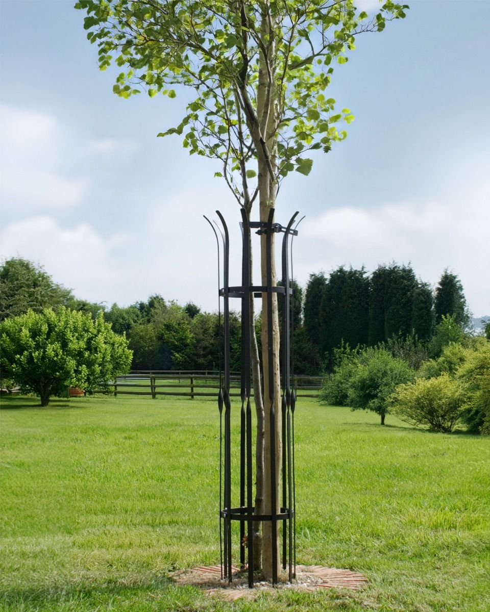 Black Metal Tree guard In Situ 