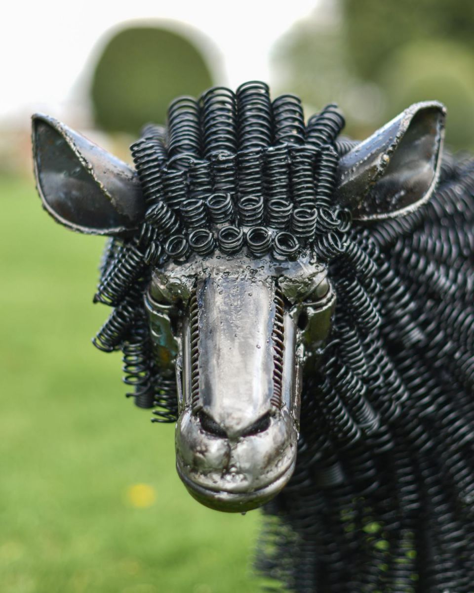 Close-Up of Facial Features of Recycled Metal Sheep Sculpture