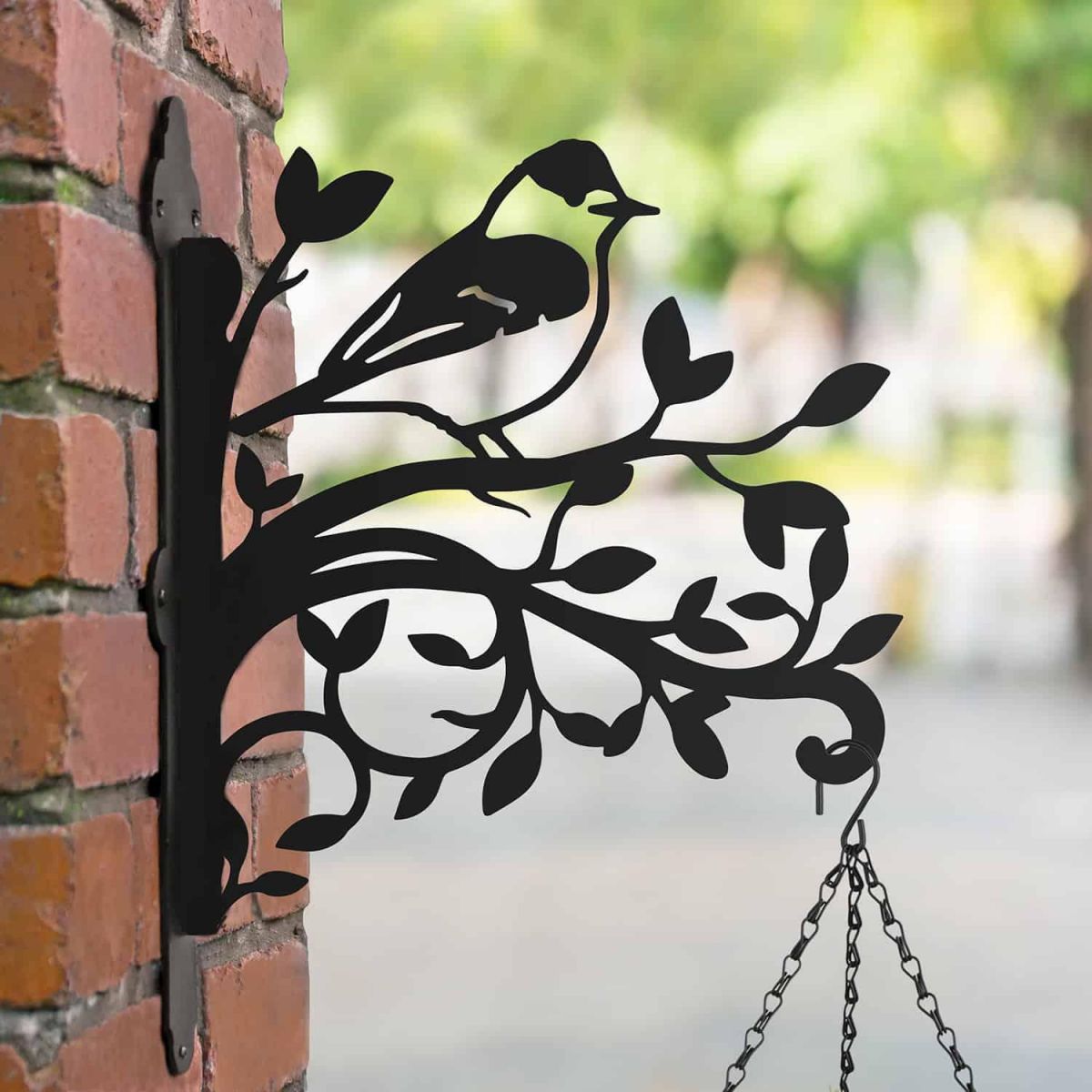 Blackcap on Branches Steel Hanging Basket Bracket in Situ