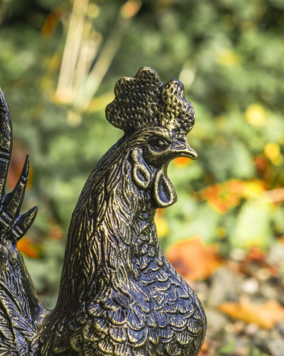 Close up of black and gold rooster head