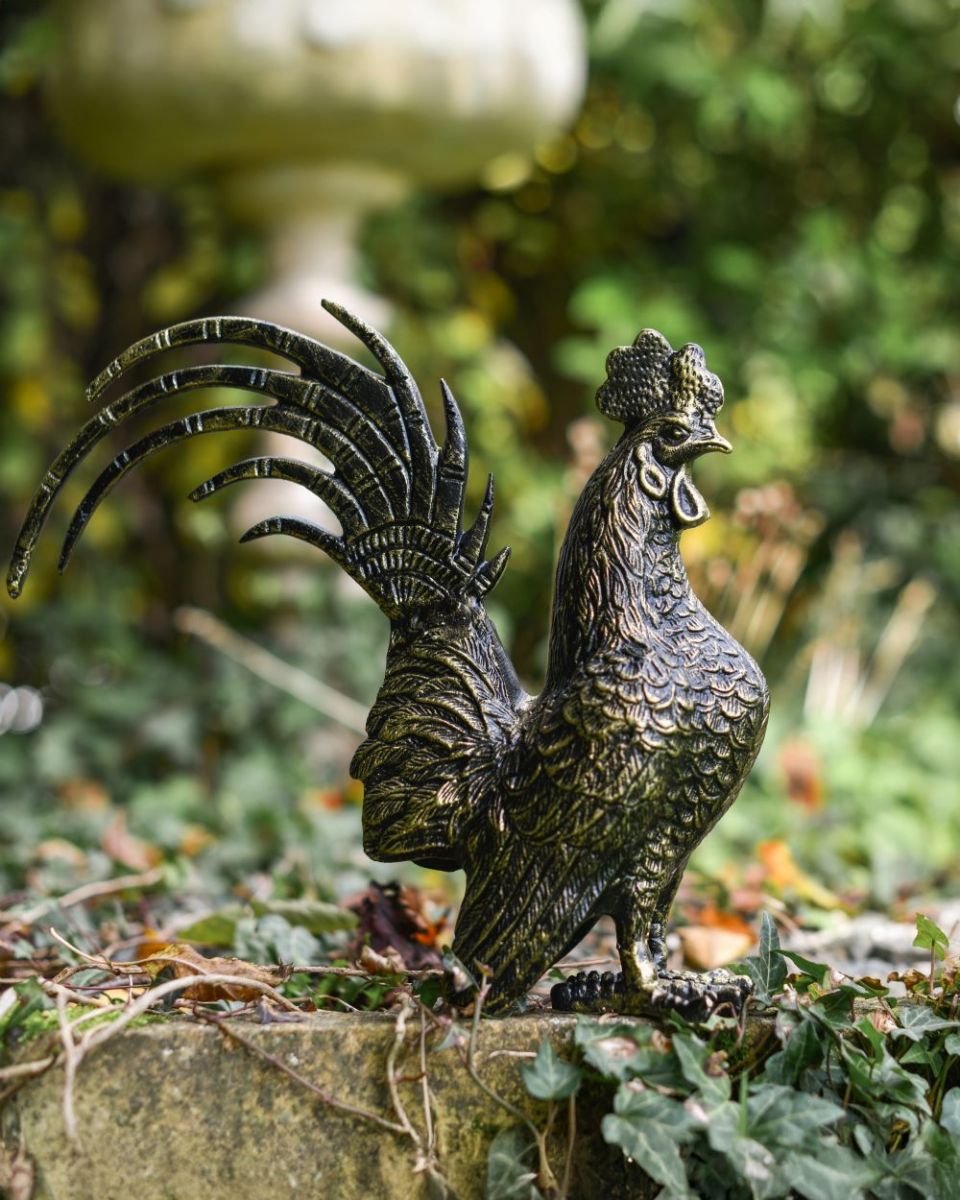 Black and Gold Rooster Side View