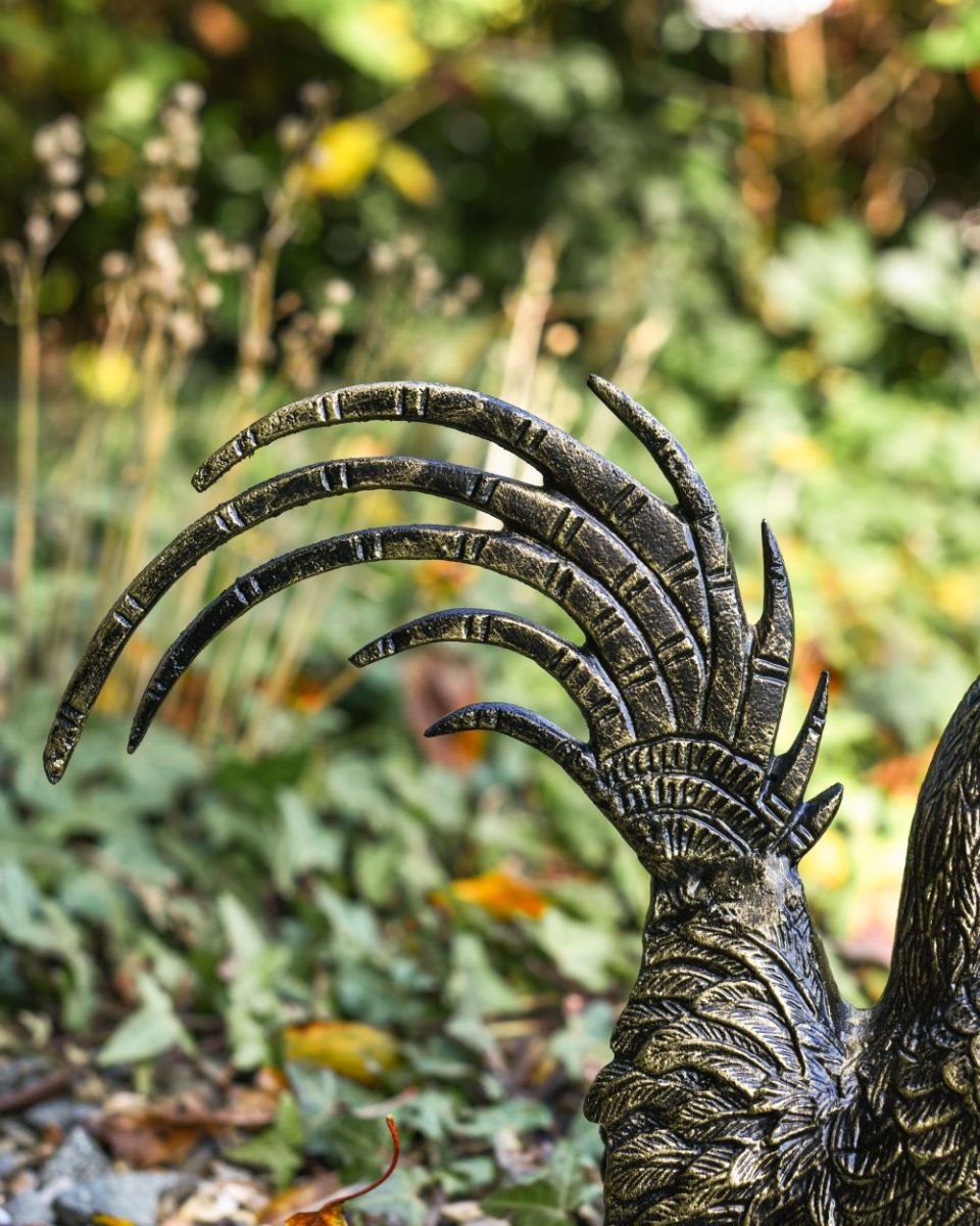 Close up of black and gold rooster tail