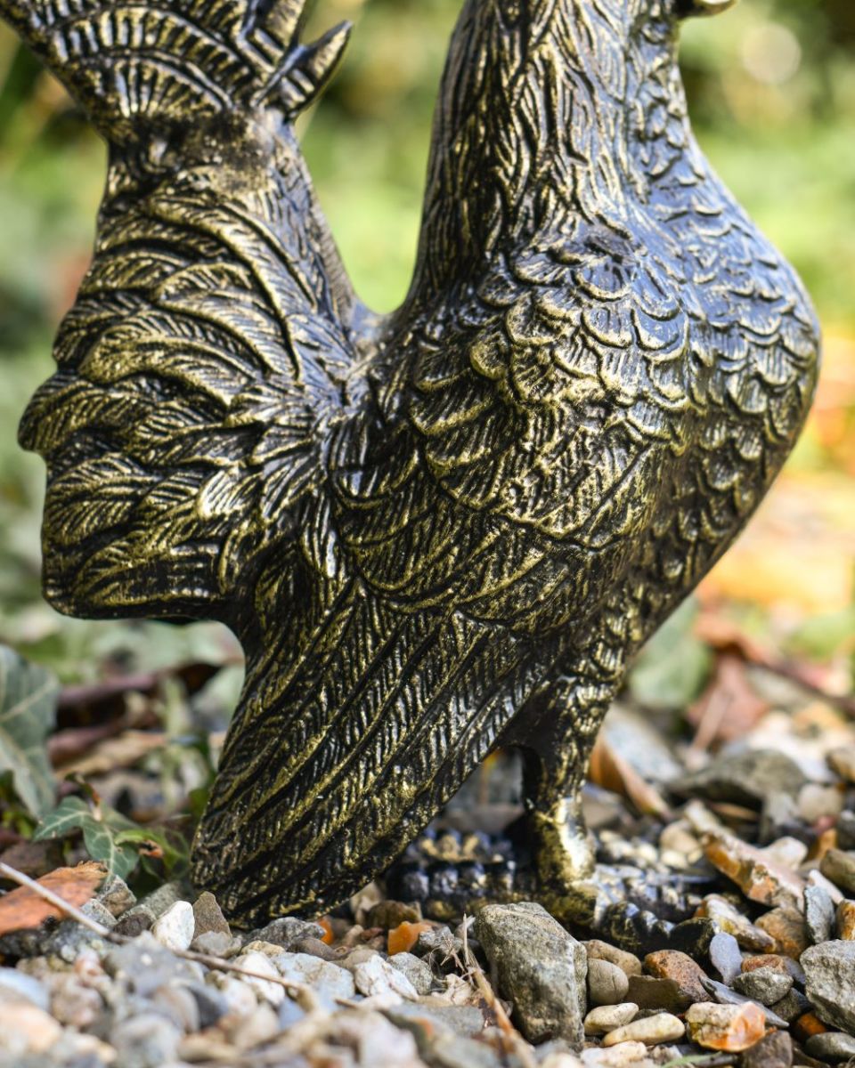 Close up of black and gold rooster wing