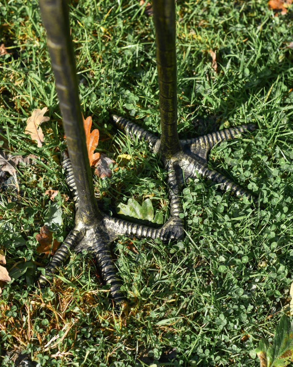 Close up of crane facing back feet