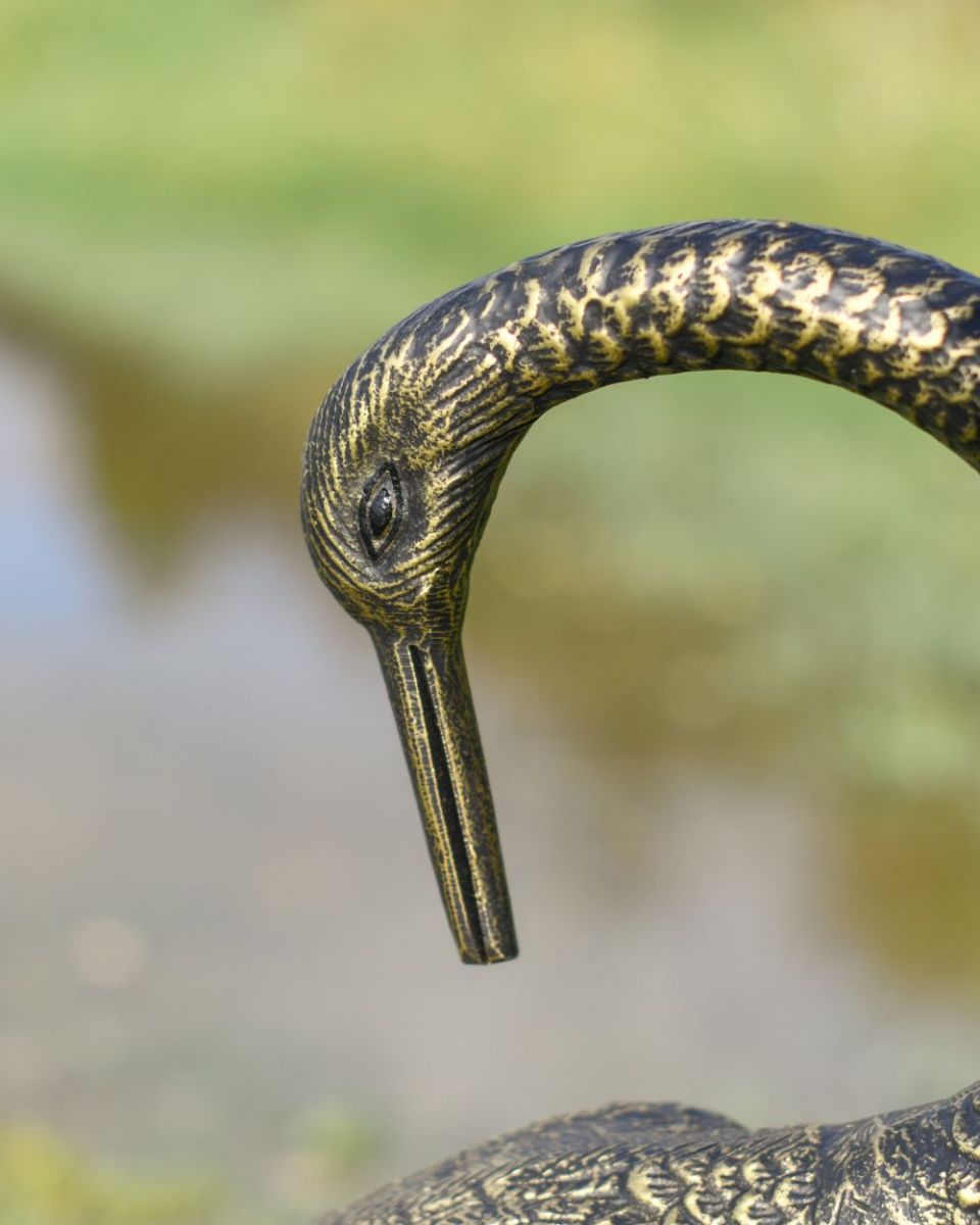 Close up of crane facing back head