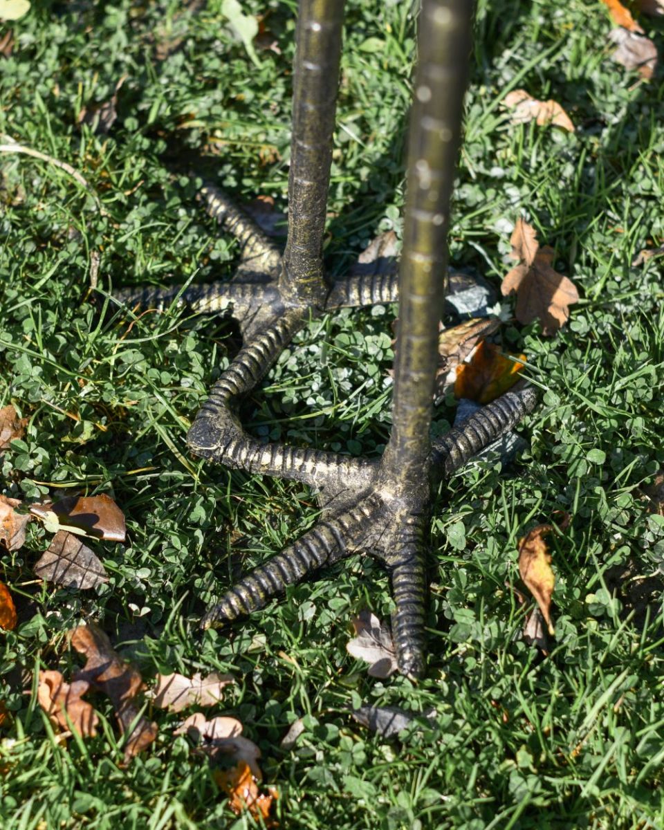 Close up of crane standing feet
