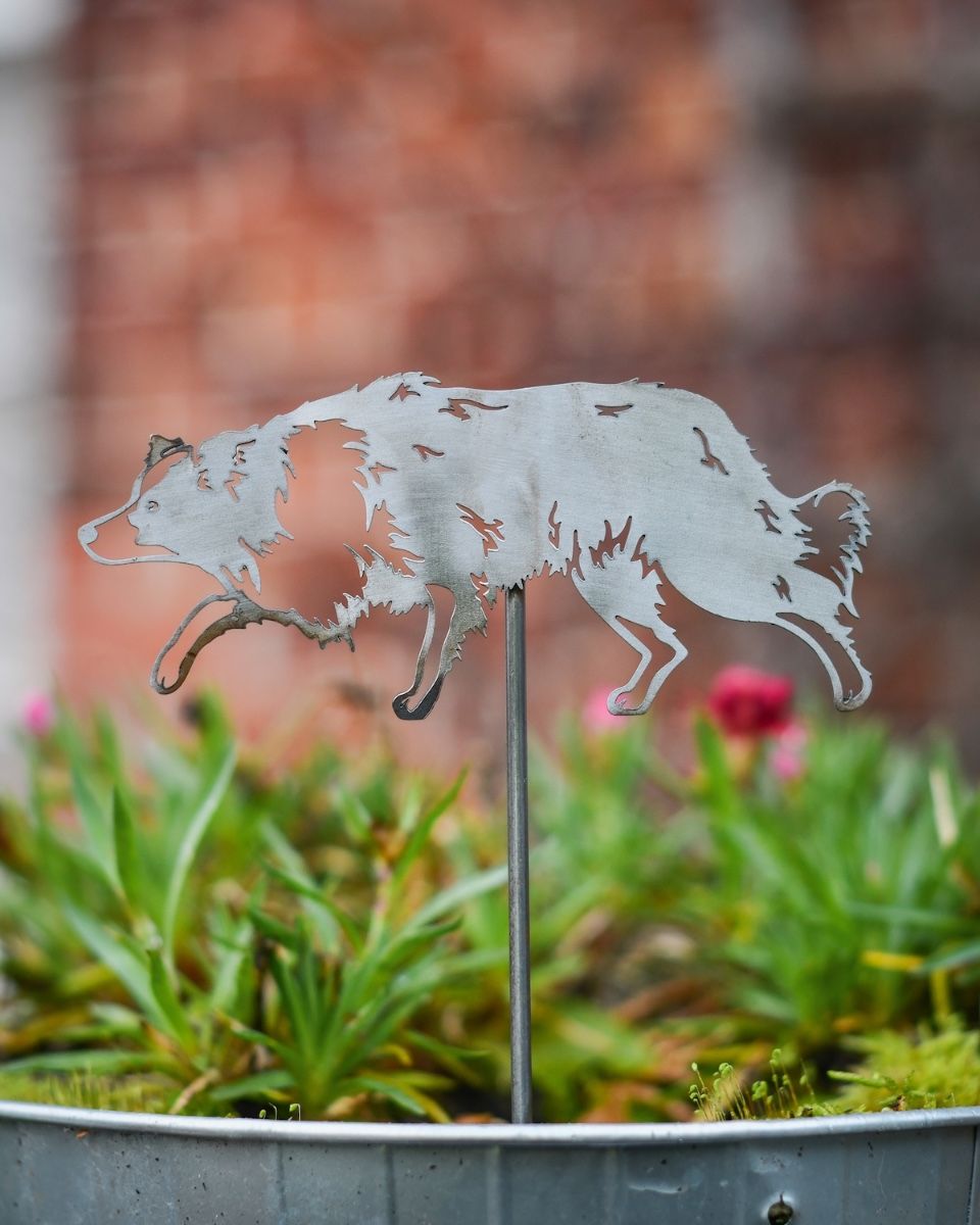 Border Collie Artistic Plant Pot Spike - Set of Two