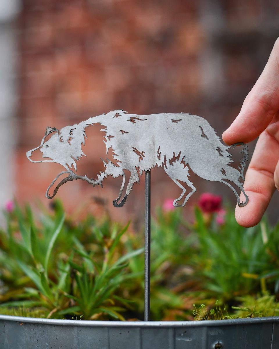 Border Collie Artistic Plant Pot Spike - Set of Two with hand in shot for scale