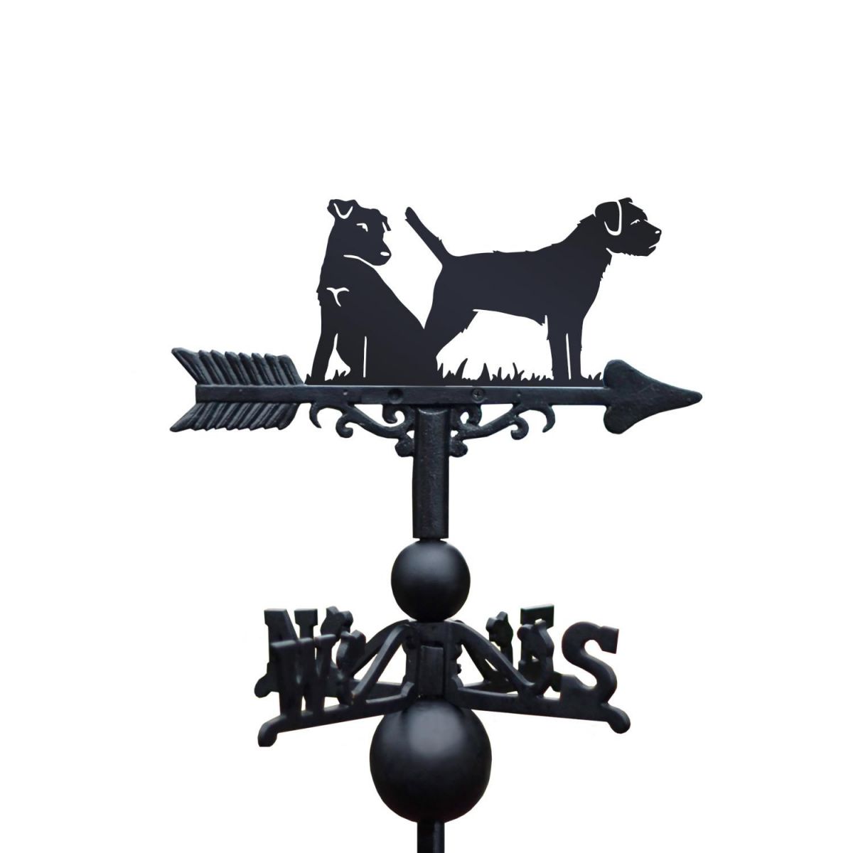 Close-Up of Border Terrier and Jack Russell Topper