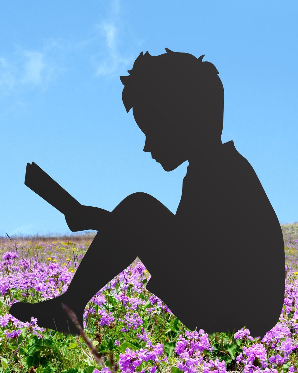 Boy With Book Silhouette sitting in a field of flowers with a blue sky 