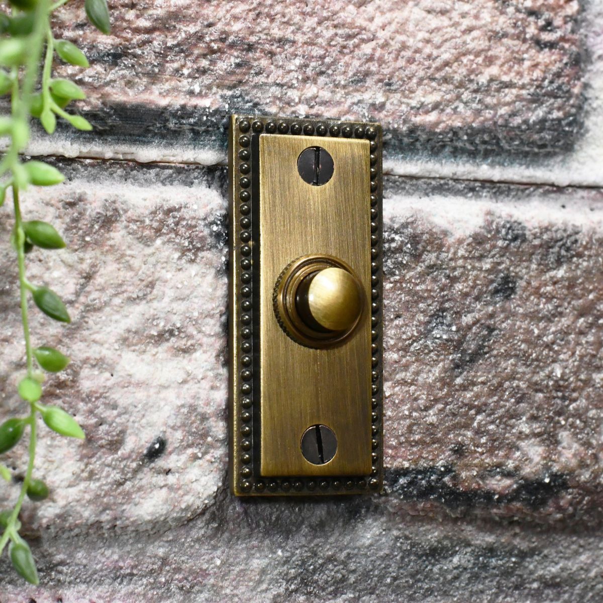 Traditional door bell with Georgian beading on border Traditional door bell with Georgian beading on border