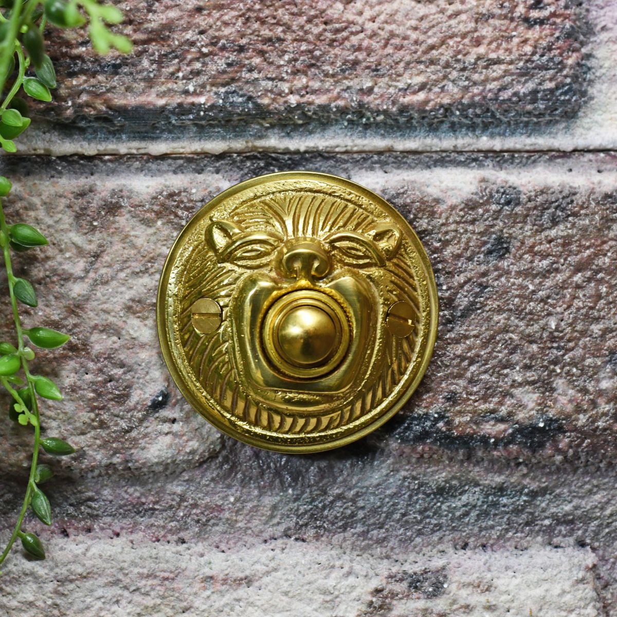 Ornate traditional lion face door bell 