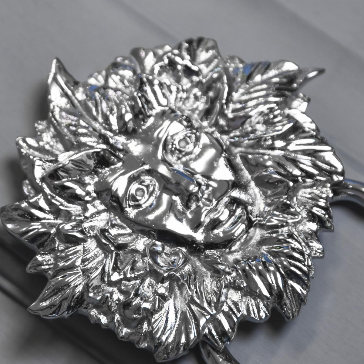 Close-Up of Bright Chrome Finish on Maiden Door Knocker