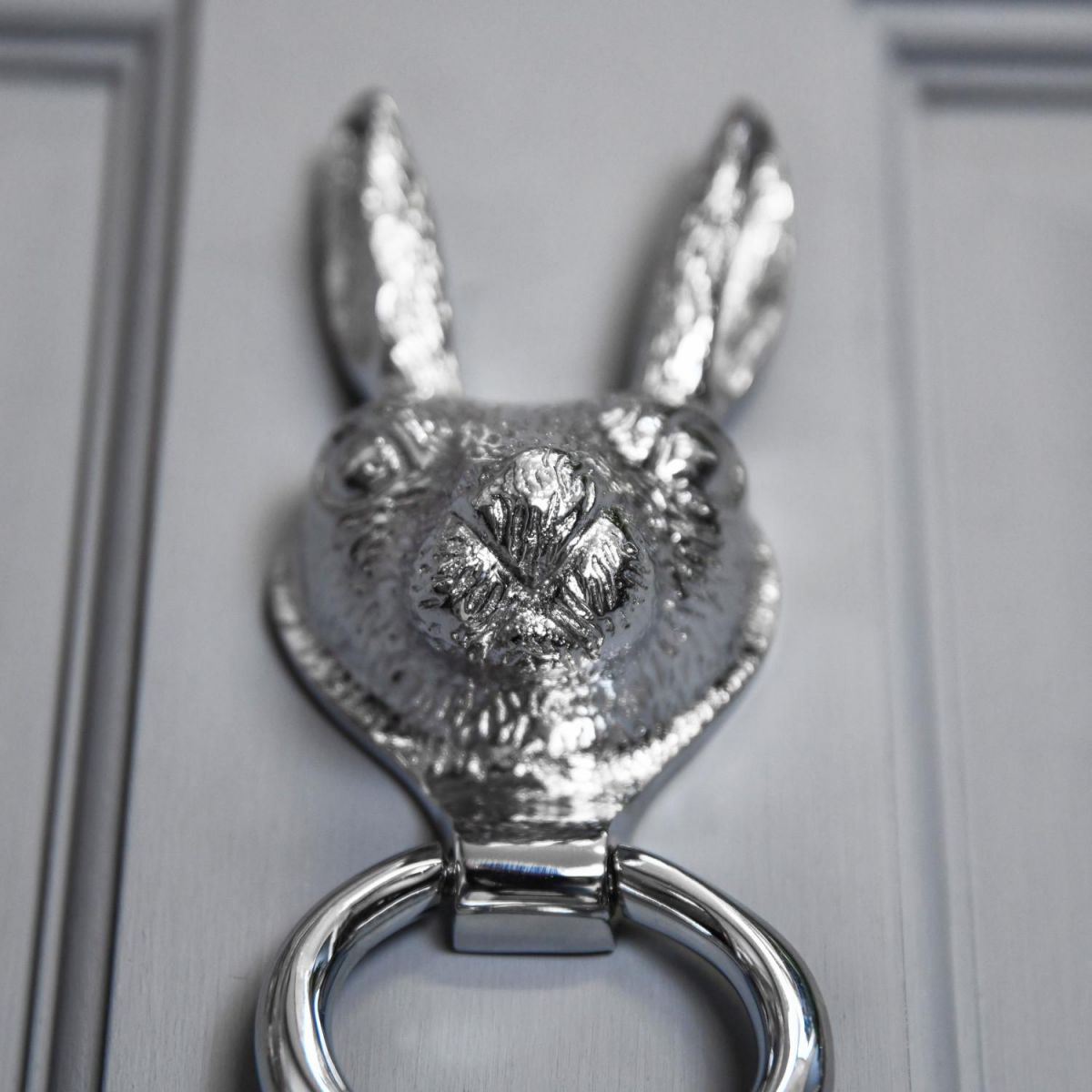 Bright Chrome Rabbit Door Knocker in Situ