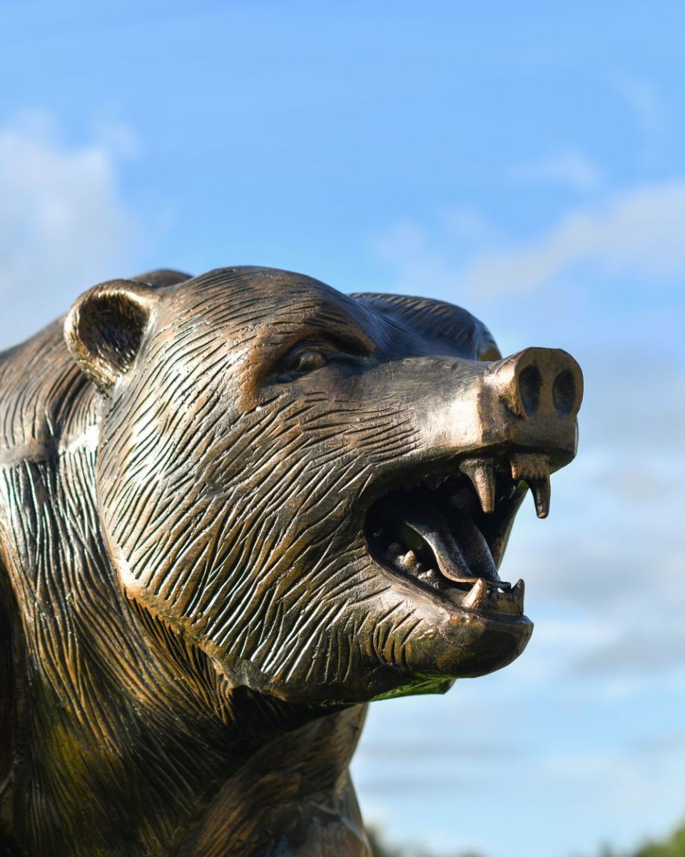 Close up of detailing on Bear"s head Close up of detailing on Bear"s head