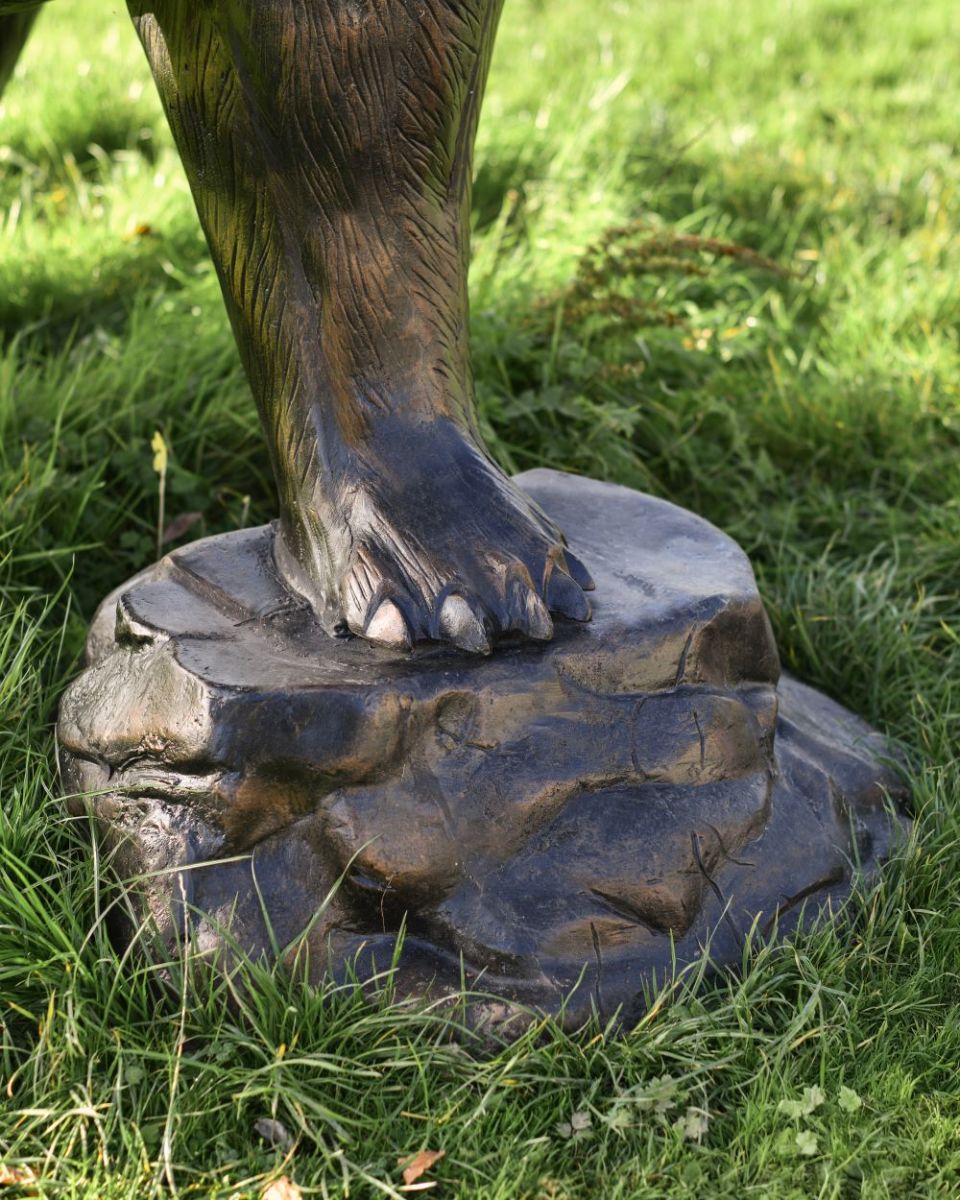 Close up of bear"s foot on rock Close up of bear"s foot on rock