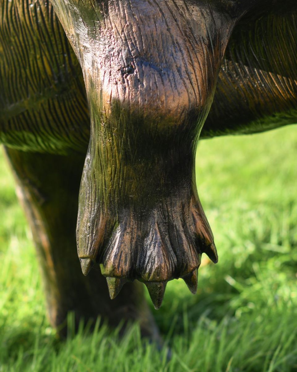 Close up of bear"s lifted leg Close up of bear"s lifted leg