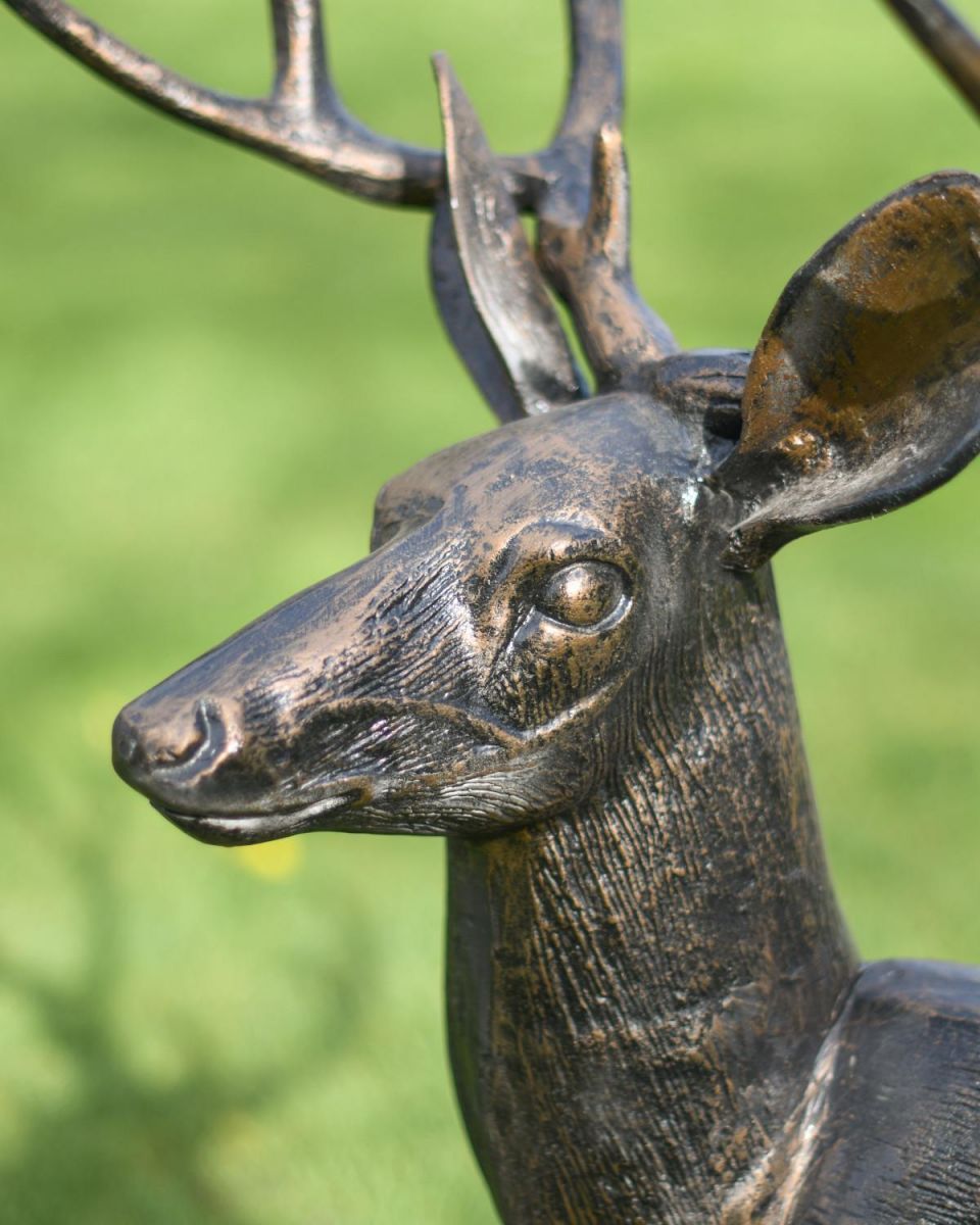 Standing stag Left facing head close up and fur detailing