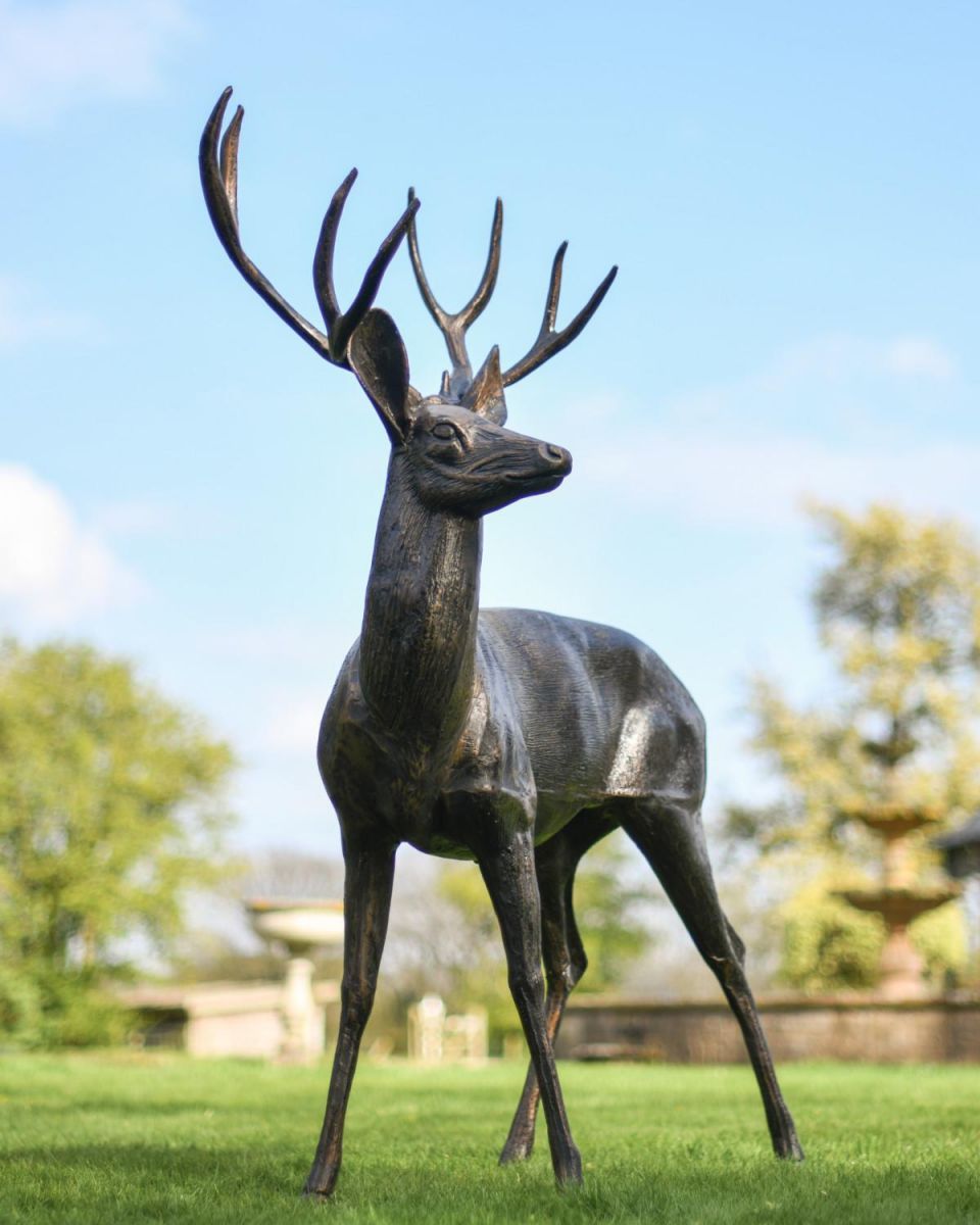 Standing Stag Sculpture facing left low angle front