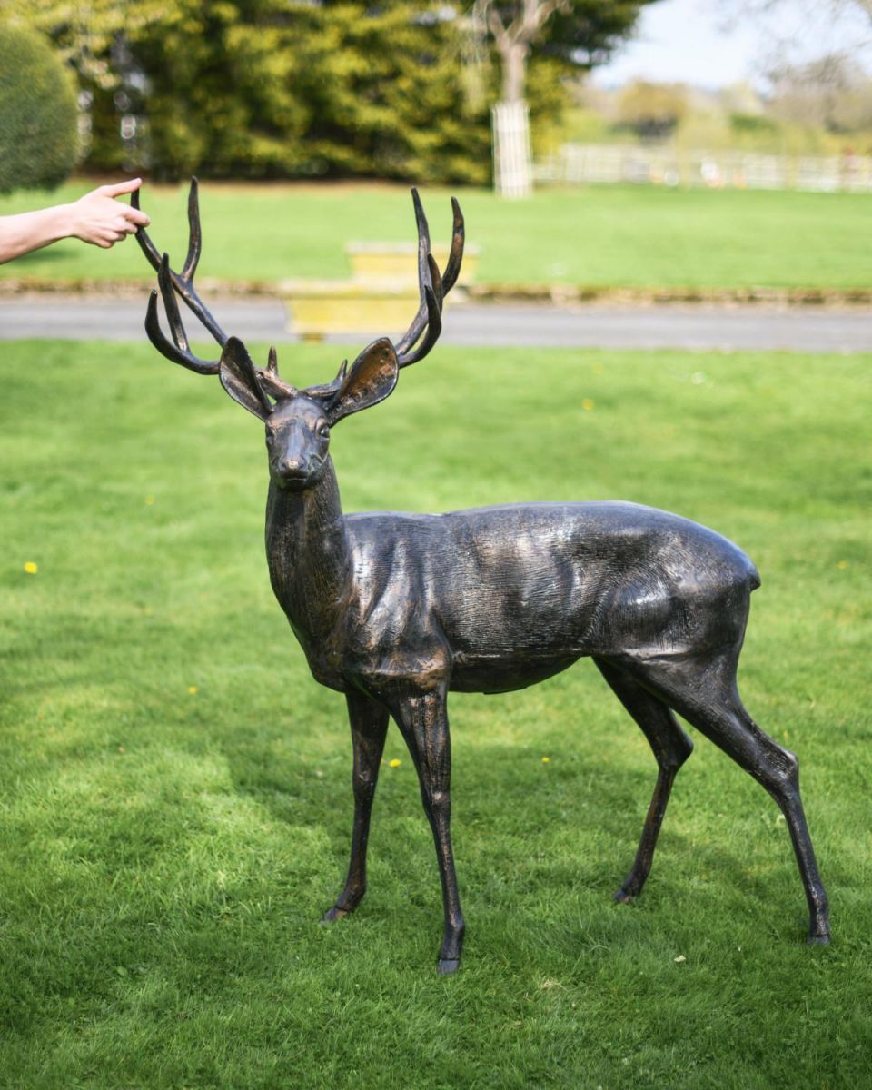 standing stag to scale