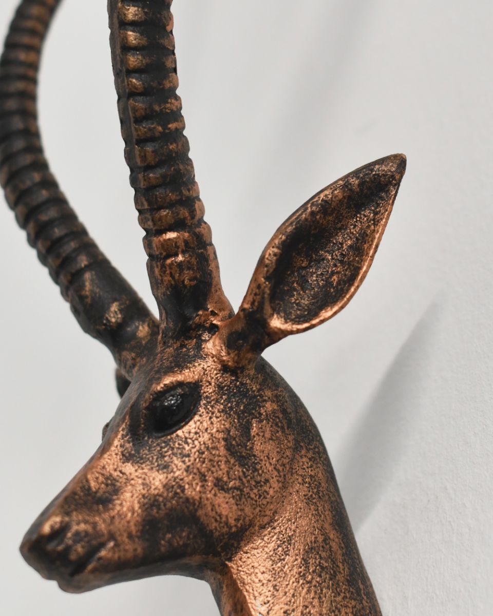 Close up Of The Bronze Finish On The Anteloper Wall Bust