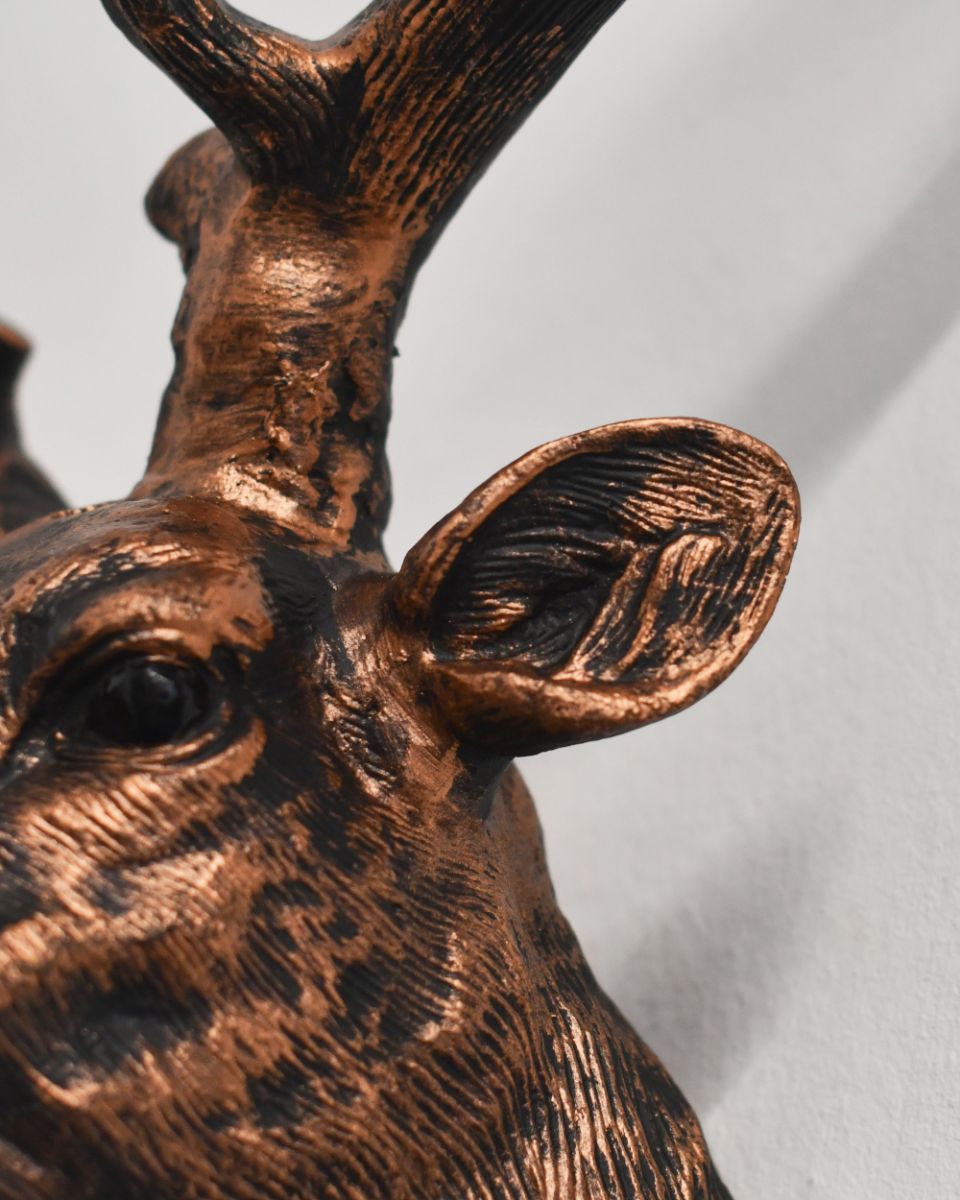 Stag Wall Bust Close Up