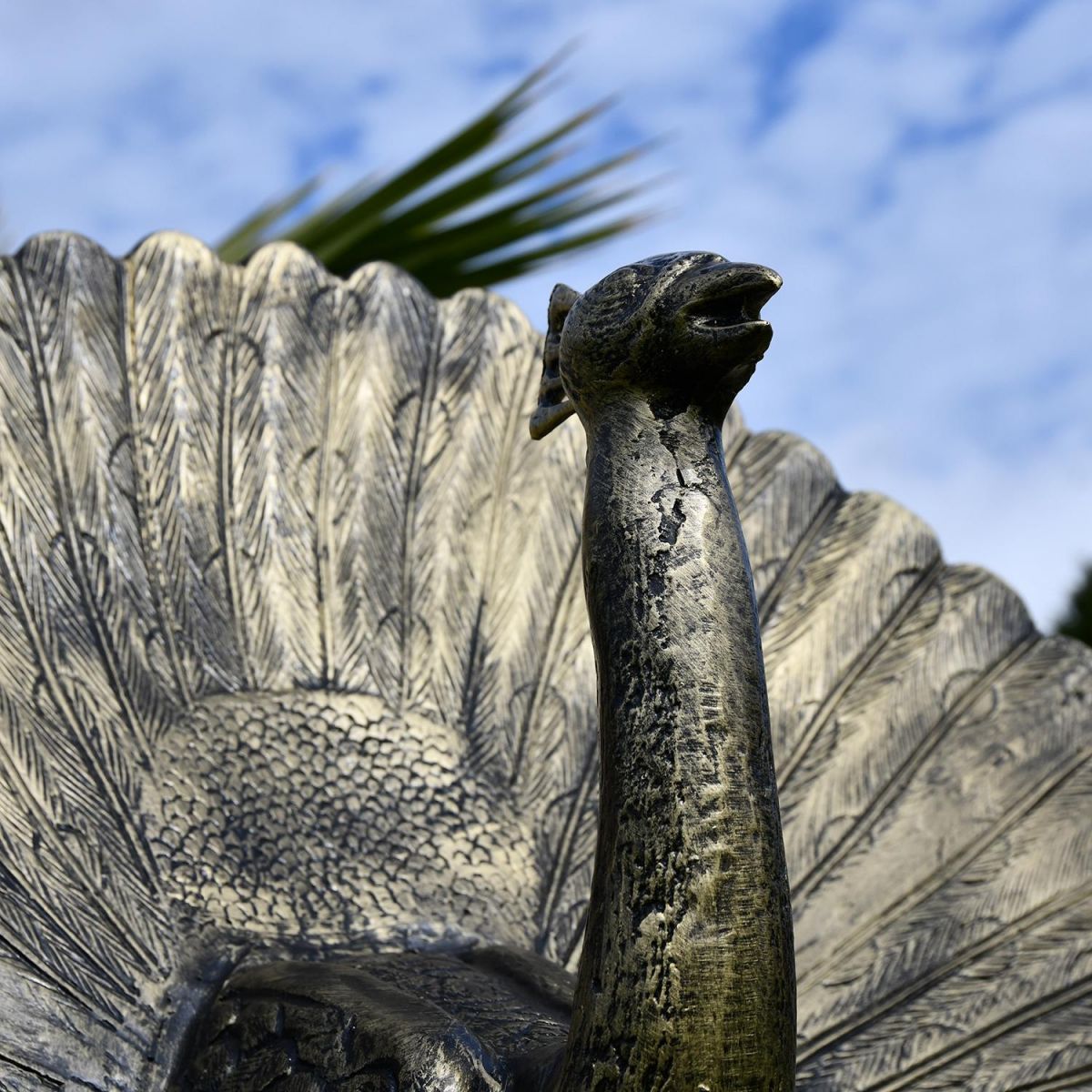 Close-up of the Face of the Peacock Sculpture