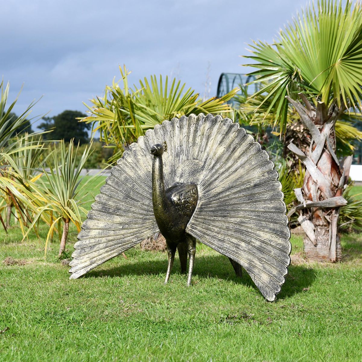 Bronze Finish Peacock Sculpture with Open Tail in Situ in the Garden