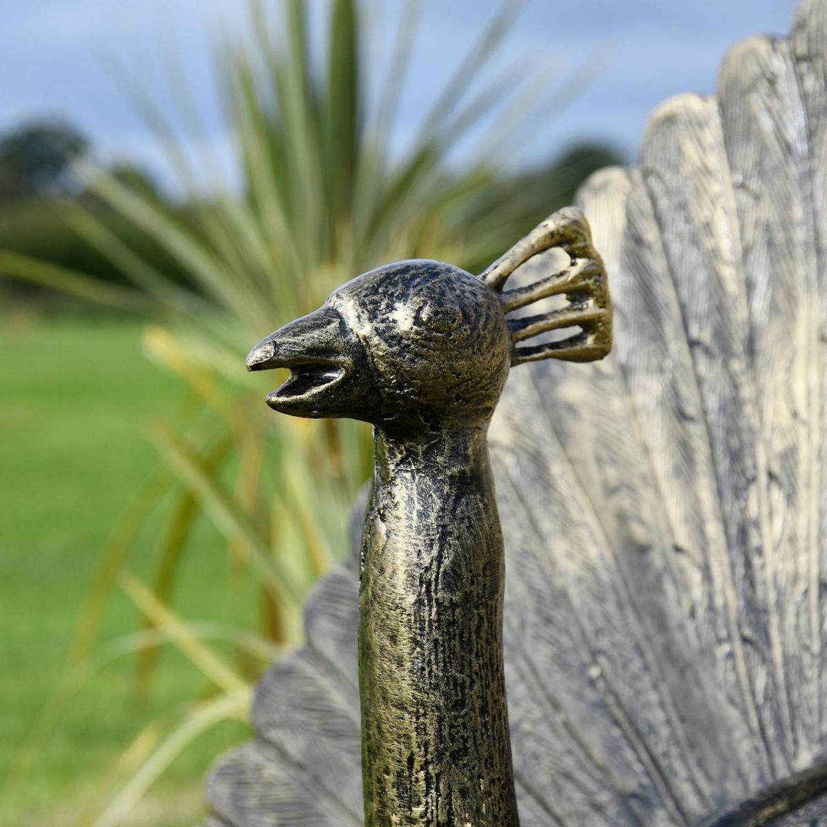 Close-up of the Head on the Bronze Finish Peacock Sculpture with Open Tail 