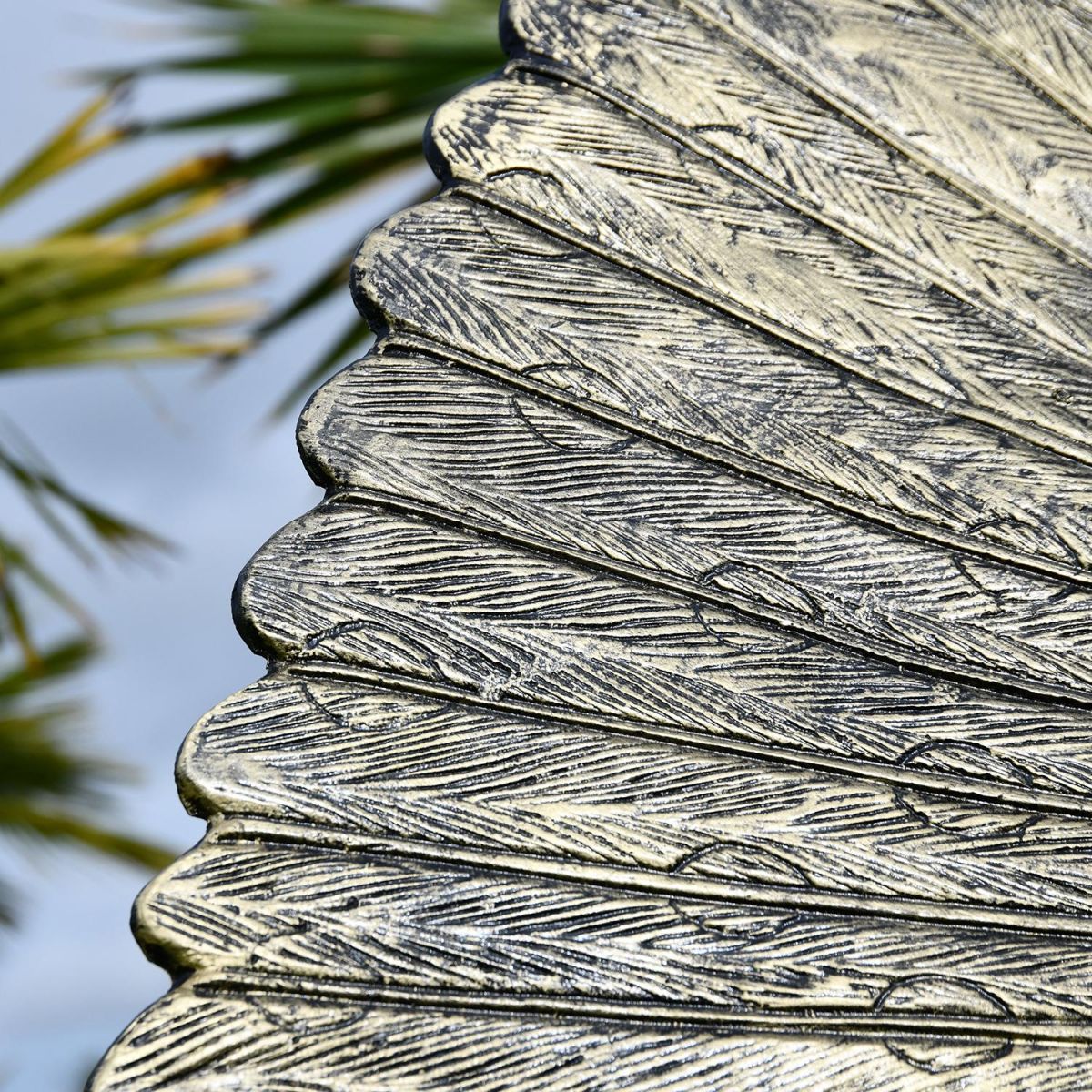 Close-up of the Detail on the Peacock"s Feathers
