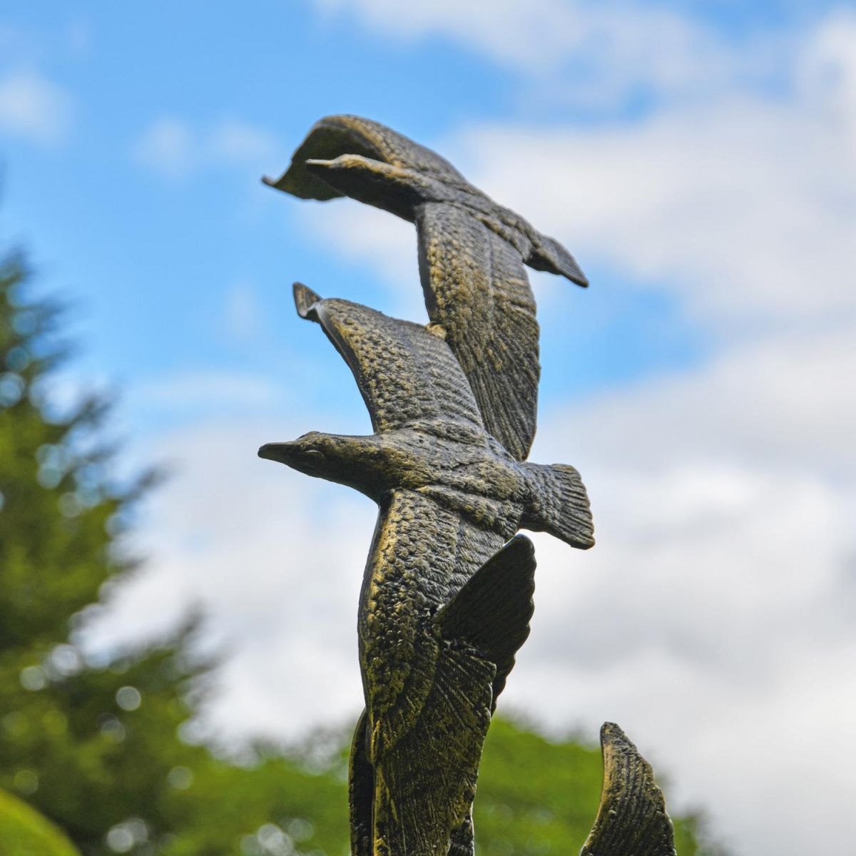 Close-Up of Finish on Bronze Flying Seagull Sculpture