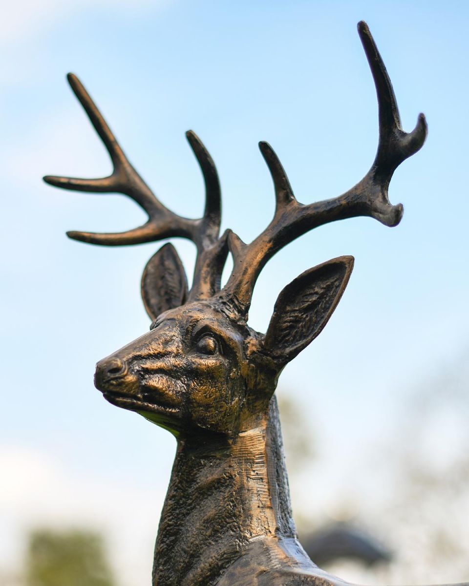 Close-up of the Detail on the Stags Face