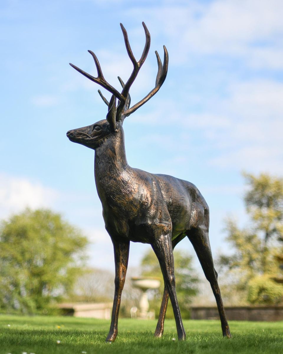 Antique Bronze Aluminium Stag Sculpture in Situ in the Garden