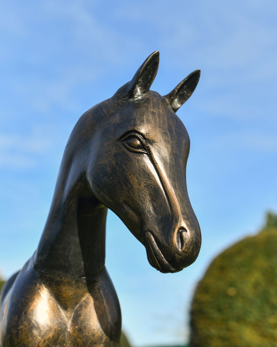 Face From The Bronze Standing Foal Garden Sculpture Face From The Bronze Standing Foal Garden Sculpture