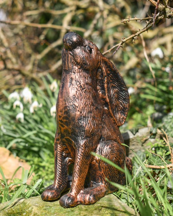 Bronze Stargazing Rabbit Cast Aluminium Garden Sculpture Bronze Stargazing Rabbit Cast Aluminium Garden Sculpture
