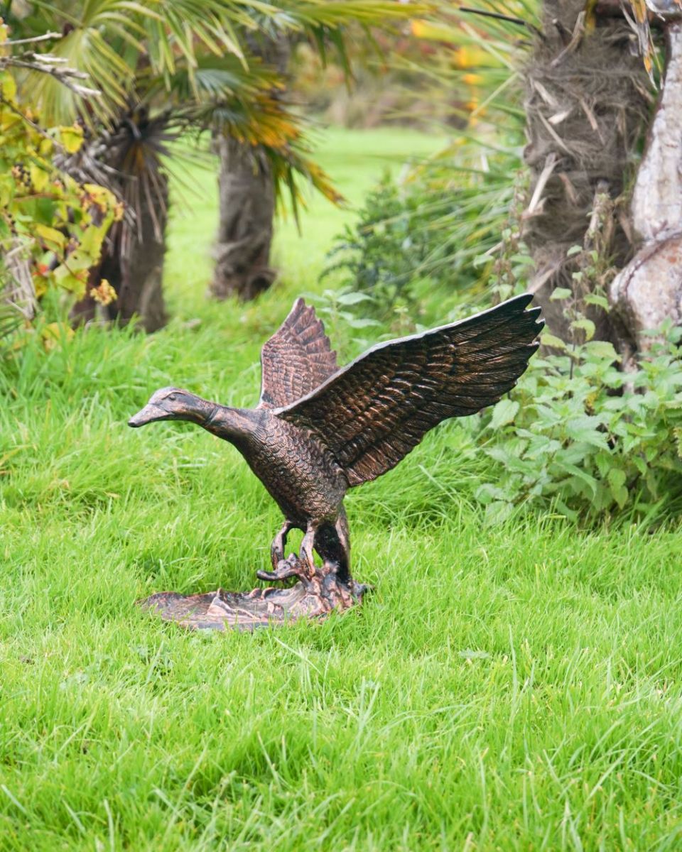Bronze Volans Flying Duck Sculpture
