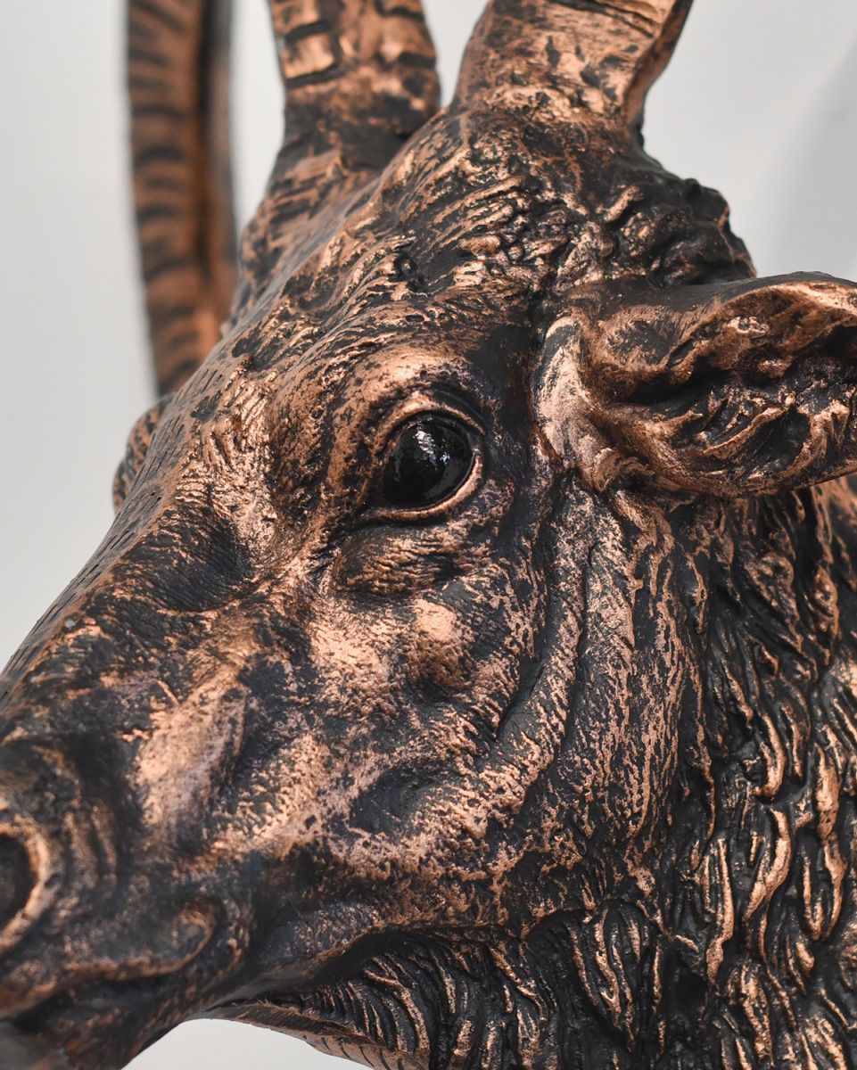 Close-up of the Detail on the Mouflon Wall Bust