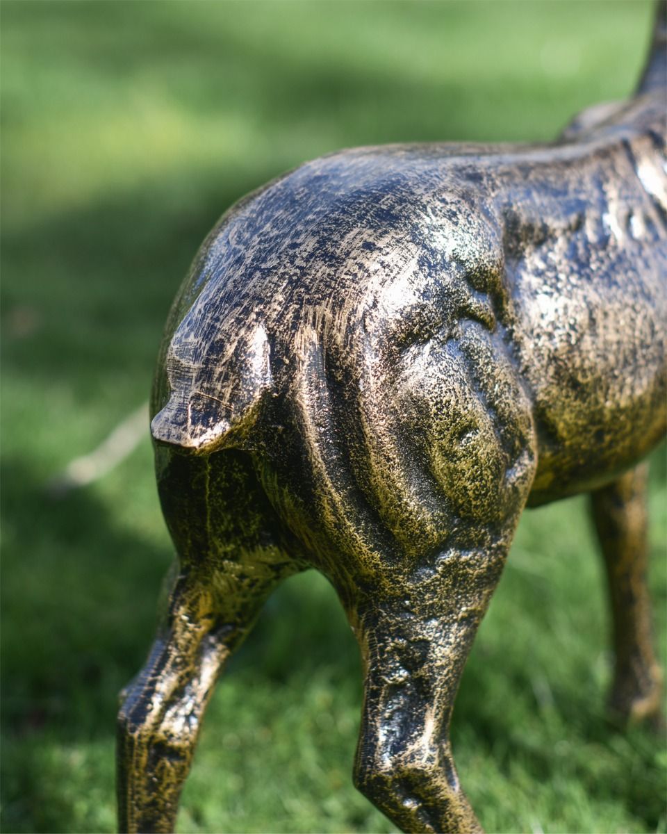 Close Up Of Stags Tail 